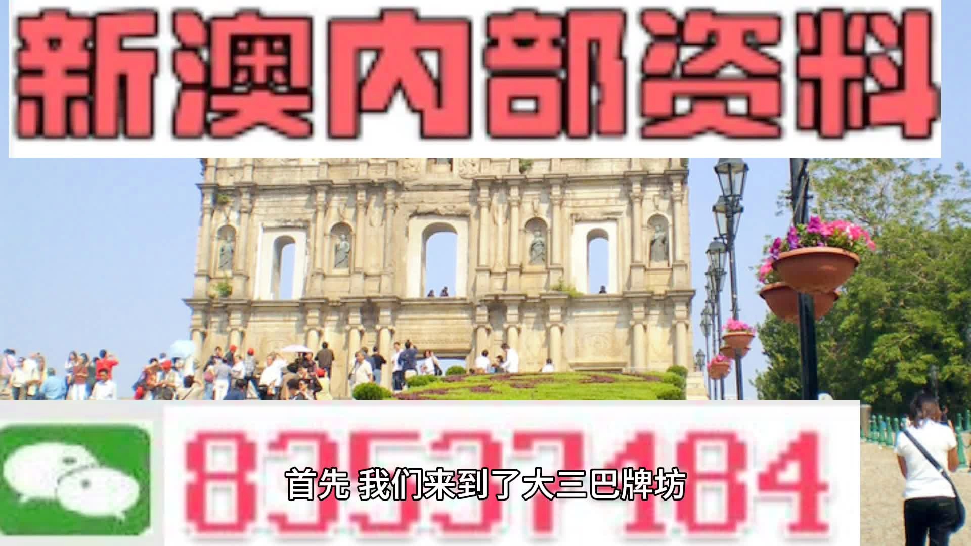 新澳2024年精准资料,新澳2024年精准资料解析