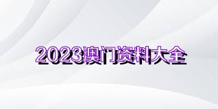 2024澳门精准正版资料大全,澳门精准正版资料大全，探索与警示