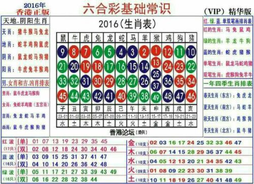 2024十二生肖49个码,揭秘十二生肖与数字码，探寻2024年十二生肖的49个神秘数字码之旅