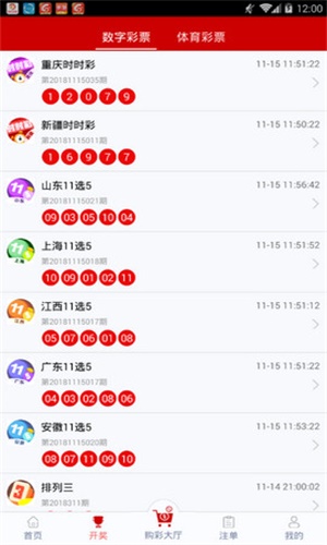 白小姐一码一肖100准确,揭秘白小姐一码一肖，探寻100%准确的预测之谜