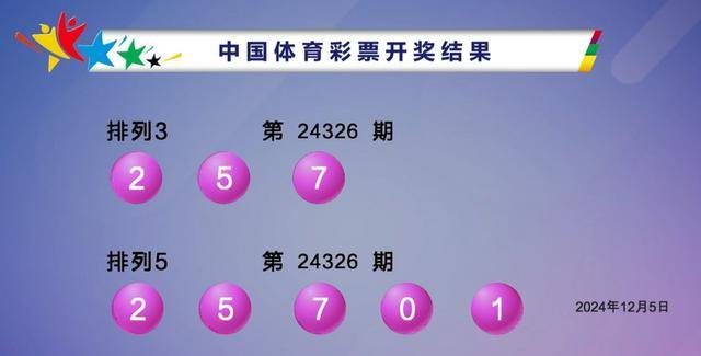 2024香港开奖记录查询表格,2024年香港开奖记录查询表格详解