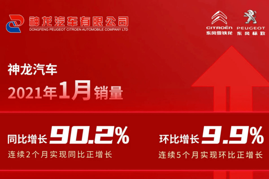 2025年天天开好彩资料,探索未来，2025年天天开好彩的深度解析与资料整理