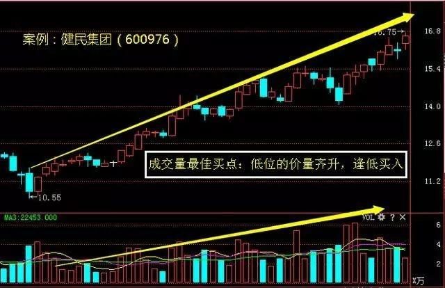 香港今晚开特马 开奖结果66期,香港今晚开特马，第66期开奖结果的期待与解析