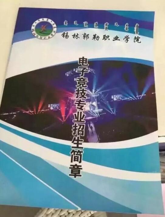 2025新澳门天天开好彩大全,新澳门天天开好彩背后的风险与挑战