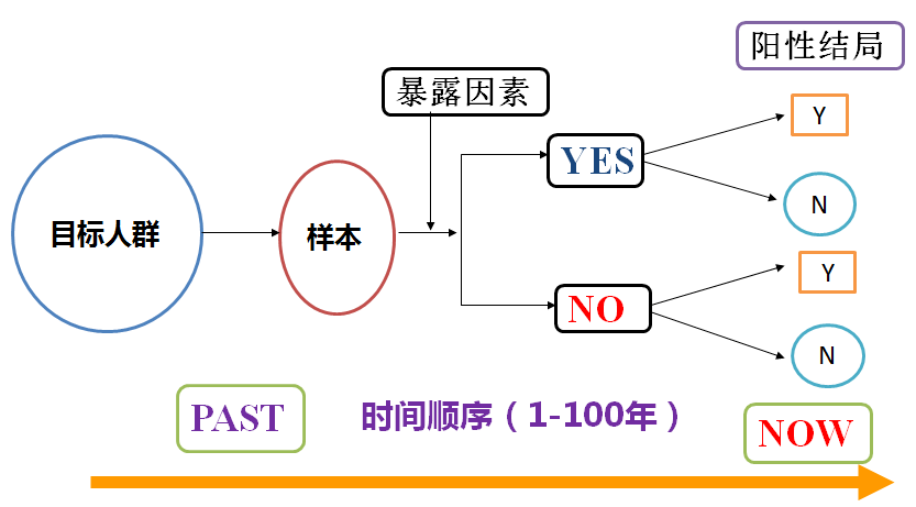 正版资料免费资料大全十点半,正版资料与免费资料大全，探索与利用的最佳实践